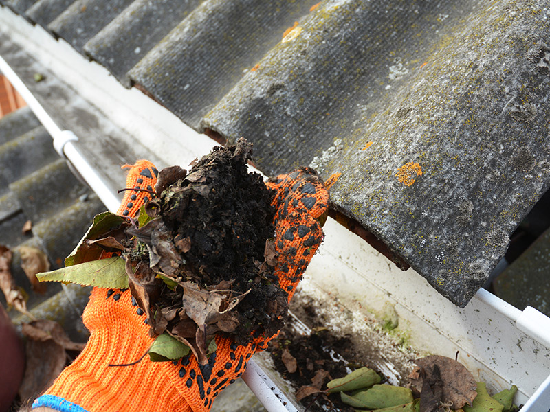 Gutter Cleaning Icon